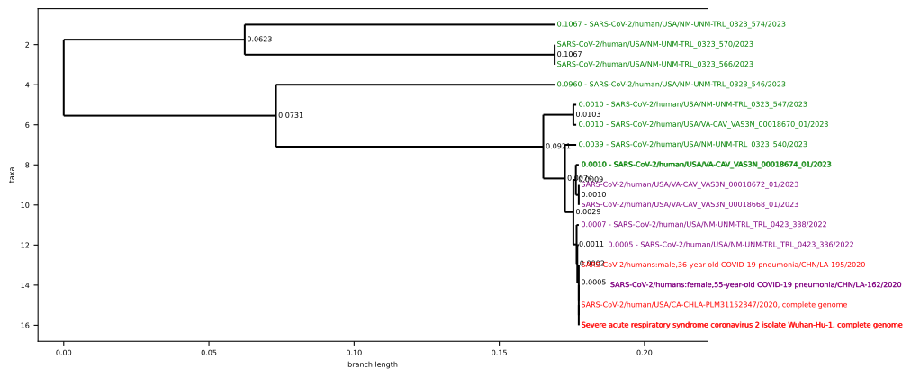 SARS-CoV2 Phylogenetic Tree